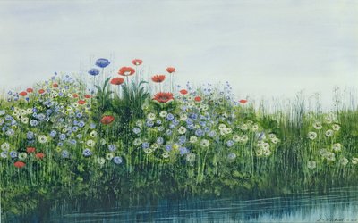 Poppies by a Stream by Andrew Nicholl